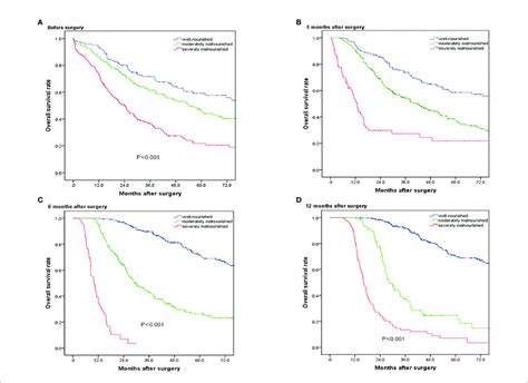 Overall Survival Curves For Patients In The Well Nourished Group