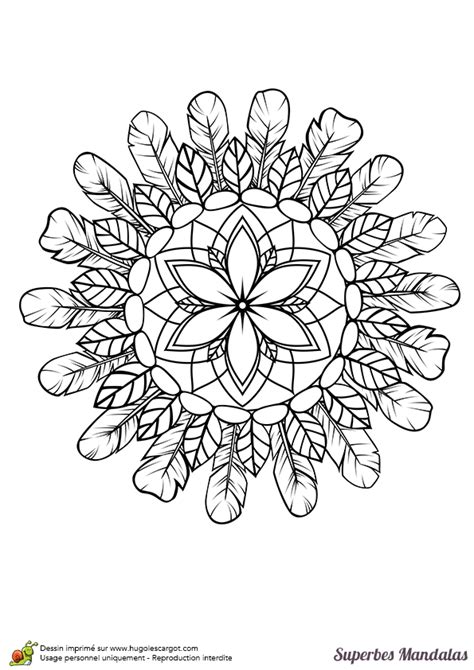 Coloriage Dun Superbe Mandala Circulaire De Fleurs Et De Feuilles