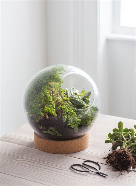 The Globe Shaping Of The Tabletop Terrarium Sits On A Retro Cork Base