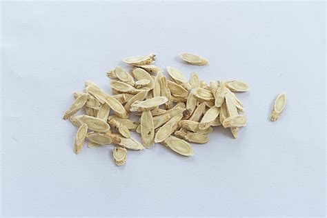 Photography Of Astragalus Membranaceus Background, Chinese Herbal ...