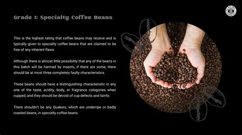 Ppt Must Read Facts On Grading Arabica Coffee Beans Powerpoint