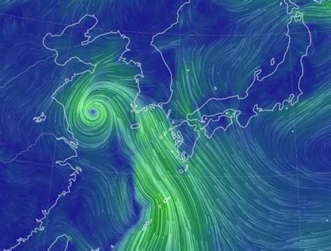 열대 수증기 한반도 쪽으로태풍 송다 습기와 만난다 네이트 뉴스