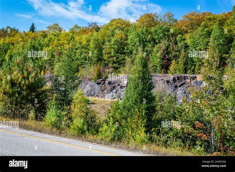 Wildlife Reserves Hi Res Stock Photography And Images Alamy