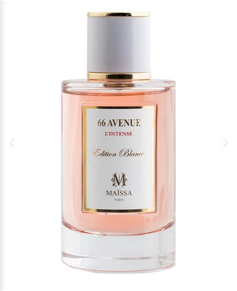 66 AVENUE MAISON MAÏSSA UNISEX – djeo.de