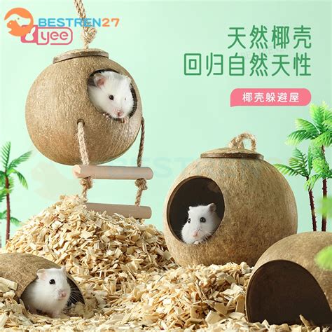 Hamster Nest Coconut Shell Hide House Landscaping Supplies Golden Bear