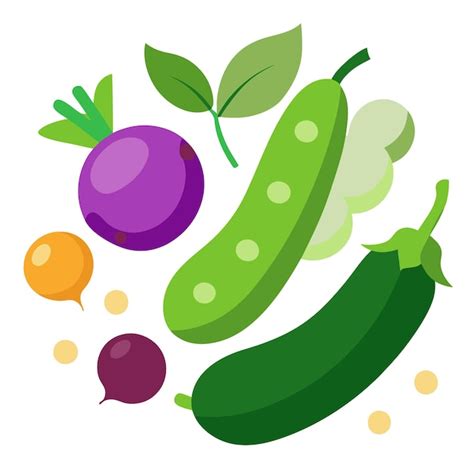 Cucumber Daikon Radish Edamame Eggplant Vegetables Clipart Vector Art