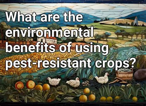 What Are The Environmental Benefits Of Using Pest Resistant Crops