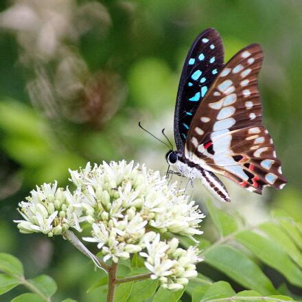 Canon EOS 1200D (EOS Rebel T5 / EOS Kiss X70 / EOS Hi) sample photo ...