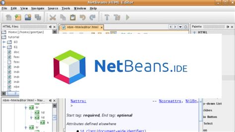 Java Hello World For Beginner With Netbeans Ide Youtube