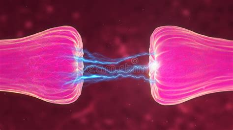 Neuronal and Synapse Activity Animation Showing Chemical Messengers or Neurotransmitters ...