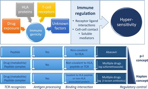 Immune Dysregulation Increases The Incidence Of Delayed‐type Drug