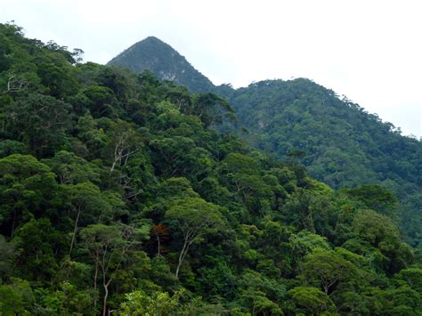 Funding Priorities - CLUA 2030