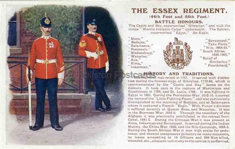 History And Traditions The Essex Regiment Millston Postcards