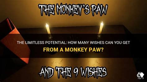 The Limitless Potential: How Many Wishes Can You Get From A Monkey Paw ...