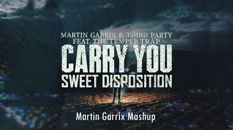 Martin Garrix Third Party Ft The Temper Trap Carry You Sweet