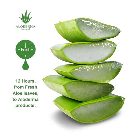 Alofab Cr Me Hydratante Corps L Aloe Vera Test Et Avis