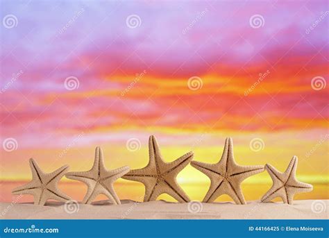 White Starfish With Sunrise Sky On White Sand Beach Stock Image Image