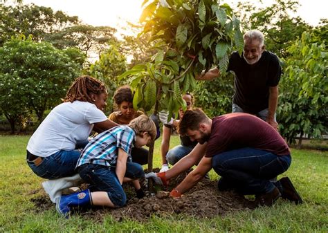 Premium Photo Group Of People Plant A Tree Together Outdoors