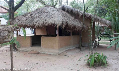 Apey Gama Traditional Village Life In Sri Lanka By Nilmini De Silva