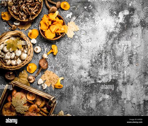 Different Mushrooms In A Boxes On A Rustic Background Stock Photo Alamy