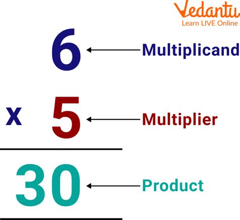 Multiplicative Identity Examples