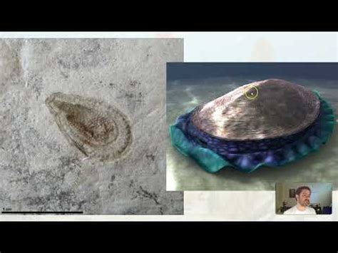 GLG102IN Online - Unit 8 Lecture Section 9 - Proterozoic Life - YouTube