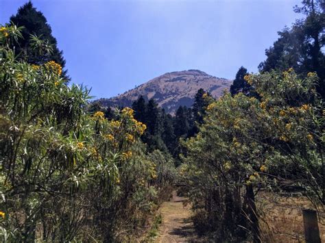 How to Visit Cumbres del Ajusco National Park from Mexico City - Slight ...