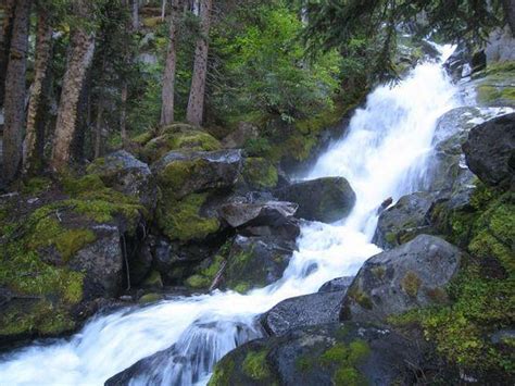 Mt Rainier National Park 4 Aug 8 Aug Northernmother Figure Eight