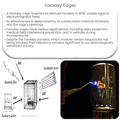 What Is A Faraday Cage