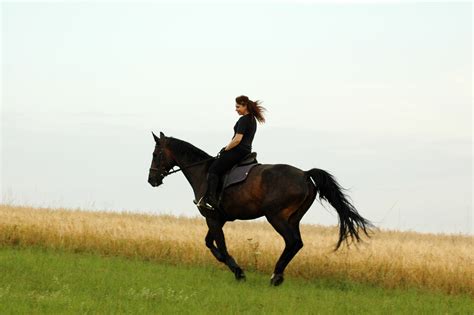 Horse Riding