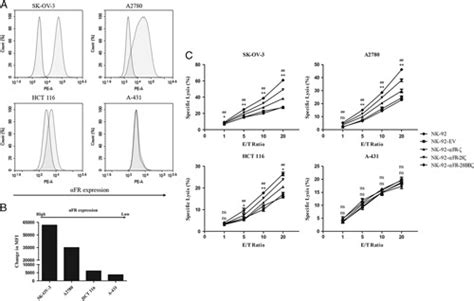 Anti αfr Car Engineered Nk 92 Cells Display Potent Cytotoxicity Against