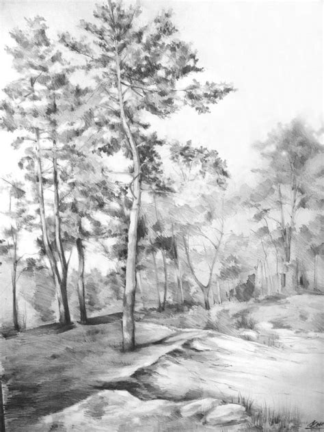 Pencil Drawing Trees Landscape - pencildrawing2019