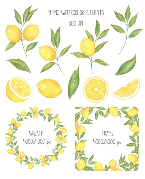 Lemon And Citrus Watercolor Clipart Lemon Wreath Seamless Pattern By