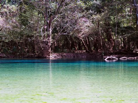 A Dozen Stunningly Beautiful Florida Springs You Must Visit - Coleman ...