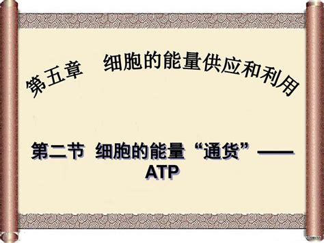 人教版必修1第五章第二节细胞的能量通货—atp共30张pptword文档在线阅读与下载无忧文档