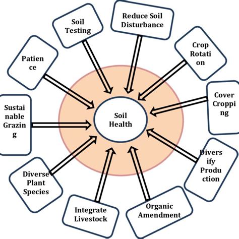 Strategies Of Soil Health Management For Sustainable Productivity