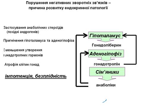 4. Поняття про ендокринну функцію.