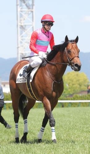 【市川の土曜競馬コラム・バーデンバーデンc】 日刊ゲンダイ競馬