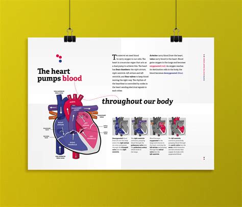 The Heart Poster | Behance