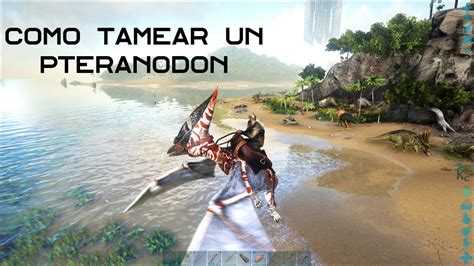 Como Tamear Un Pteranodon De Manera Fácil Y Rápida En Ark Survival