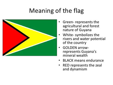 Ppt About Guyana