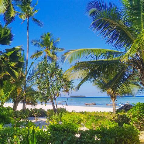 Insel Sansibar In Tansania Sevi Boutique Hotel Zanzibar