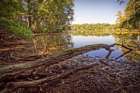 The Shores Of Flint Creek Island The Beautiful Shores Of Flint Creek