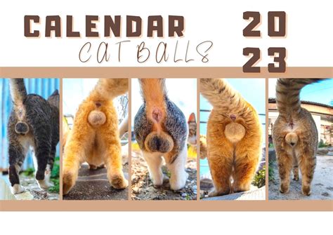 Cat Balls Calendar 2024