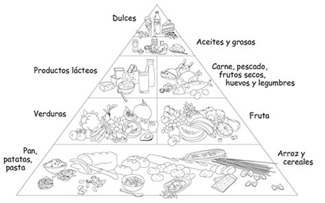 Jadeo Reciclar Describir Cuales Son Las Partes De La Piramide