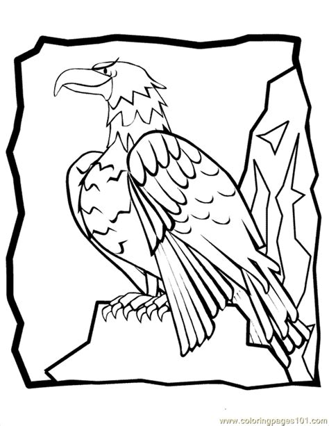 Harpy Eagles Colouring Pages Coloring Nation