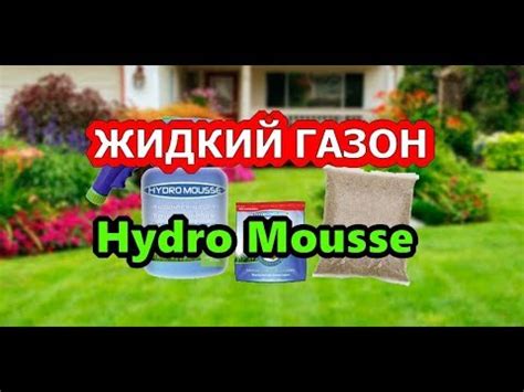 Жидкий Газон Купить В Леруа Мерлен - YouTube