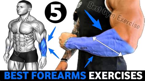 How To Get Bigger Forearms 5 Effective Exercises YouTube