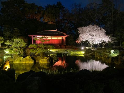 NAKED meets 二条城 2025 桜の口コミ 18 00始まって直ぐのまアソビュー
