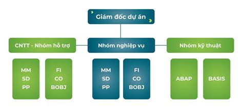 8 Sai Lầm Cần Tránh Khi Triển Khai Erp Oracle Netsuite